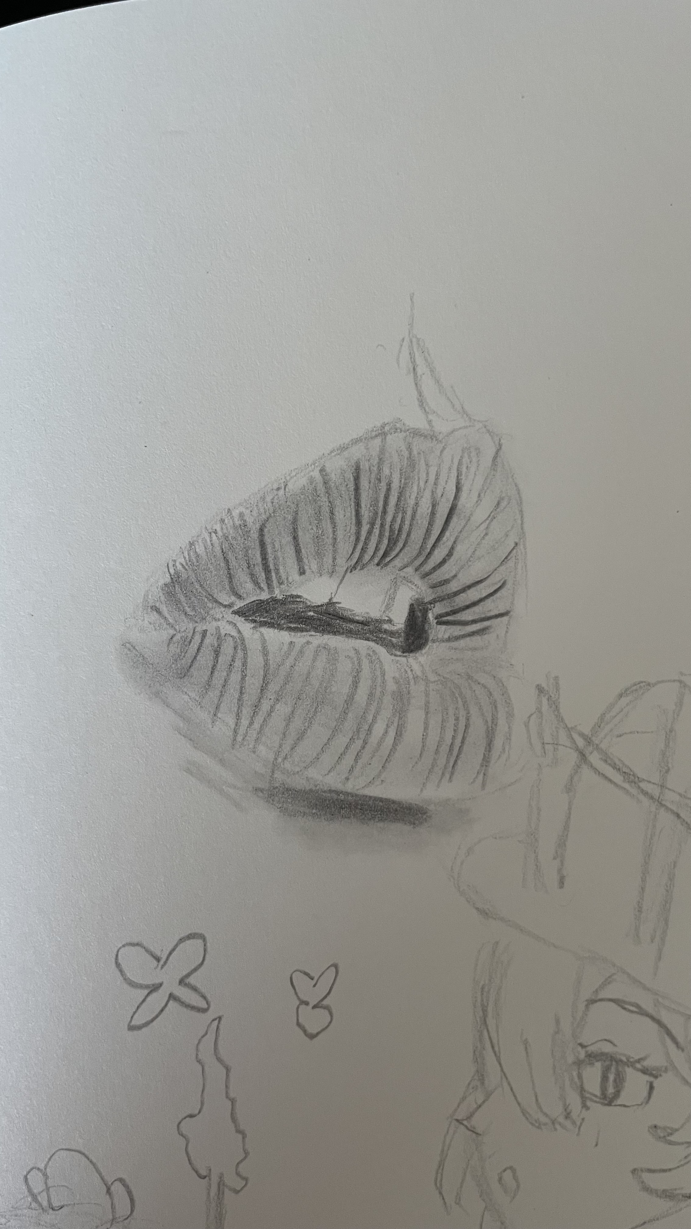 lip study